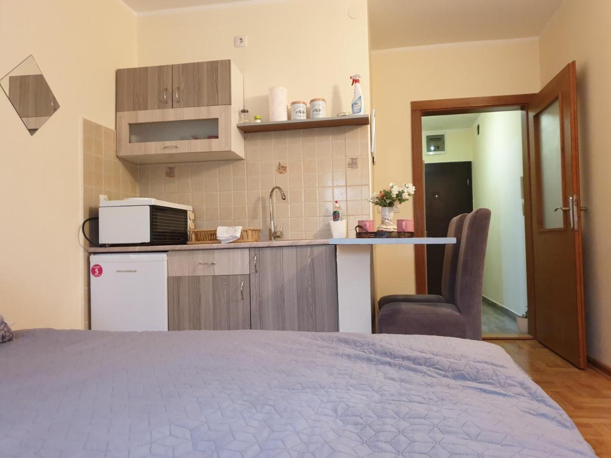 Studio Dunja Vrnjačka Banja Exteriér fotografie