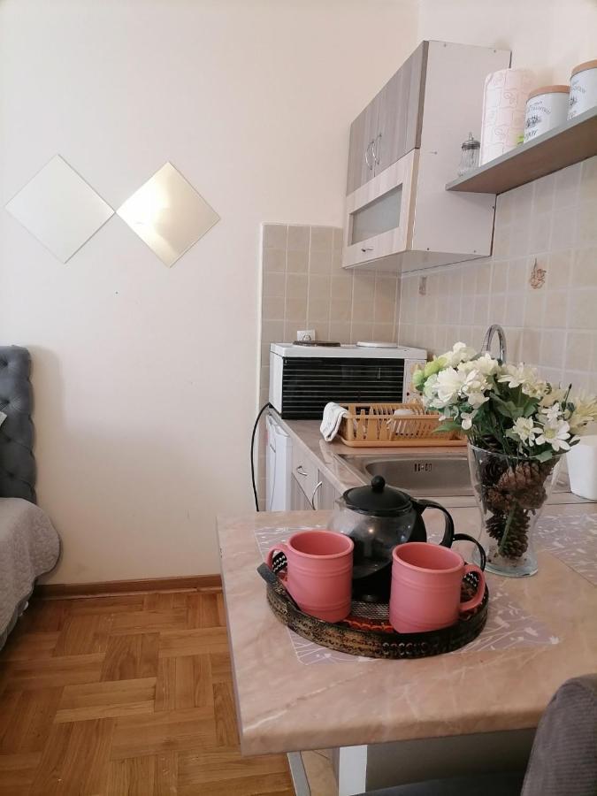 Apartmán Studio Dunja Vrnjačka Banja Exteriér fotografie