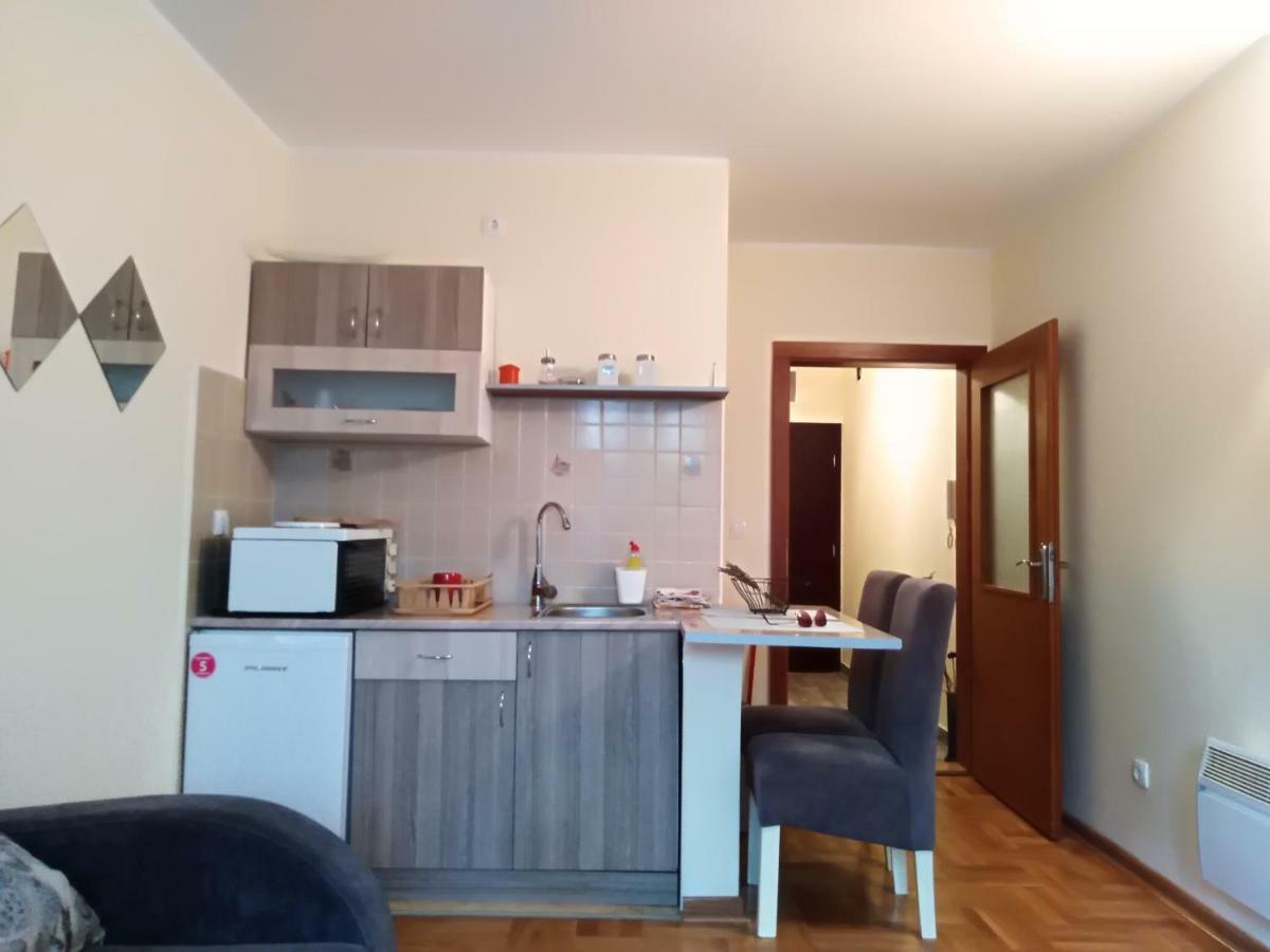 Studio Dunja Vrnjačka Banja Exteriér fotografie